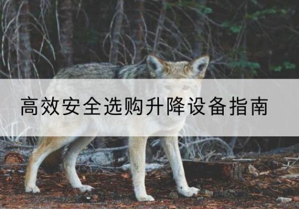 海南升降货梯厂家推荐-*安全选购升降设备指南