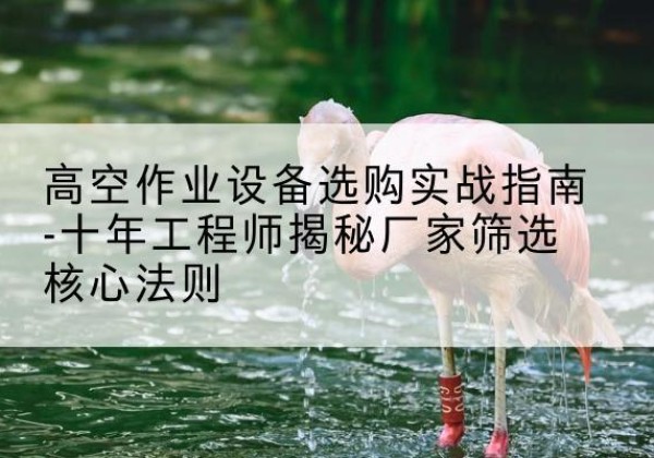 海南剪叉式升降机厂家-高空作业设备选购实战指南-十年工程师揭秘厂家筛选核心法则